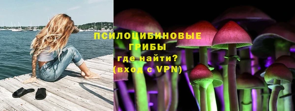 ешки Алексеевка