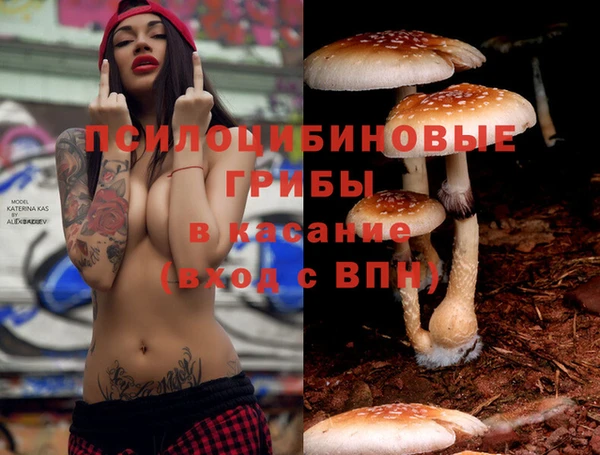 соль ск Аркадак