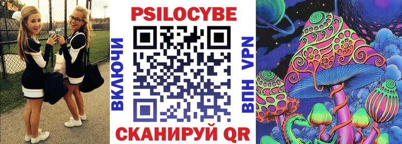 продажа наркотиков  omg вход  Псилоцибиновые грибы GOLDEN TEACHER  Багратионовск 